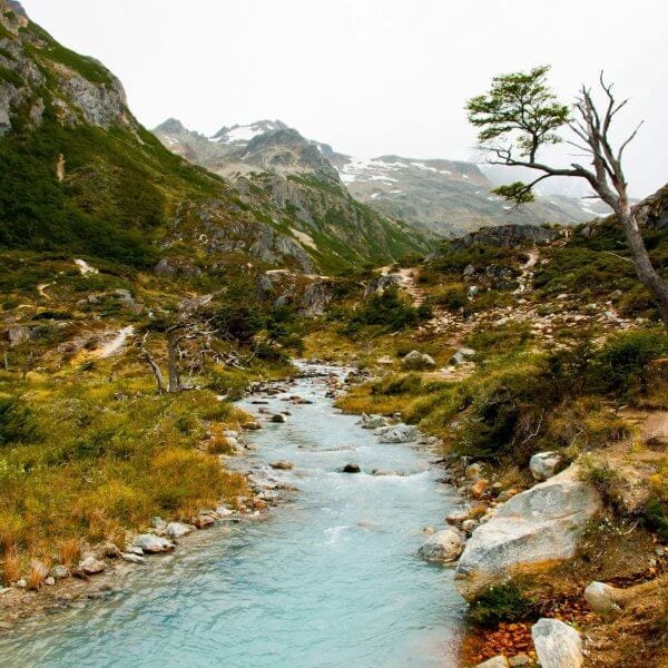 Parque Nacional Terra do Fogo - Imagem 4