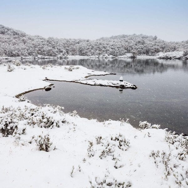 Parque Nacional Terra do Fogo - Imagem 3