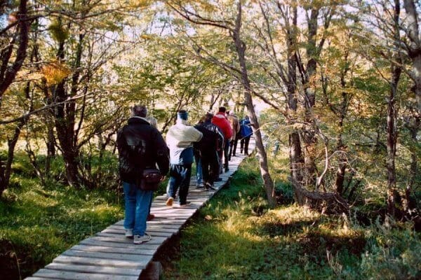 Parque Nacional Terra do Fogo - Imagem 14
