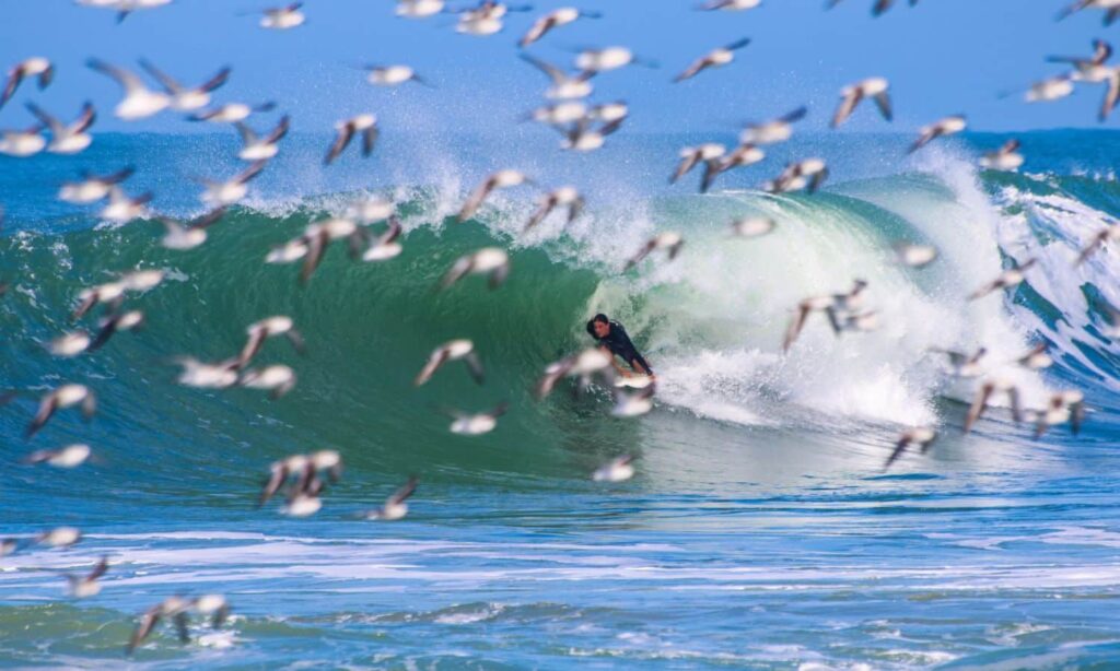 farol de santa marta surf 2025