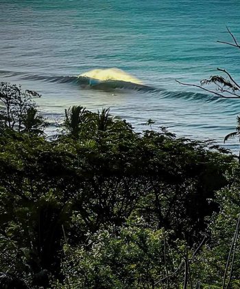 surf trip perfeita
