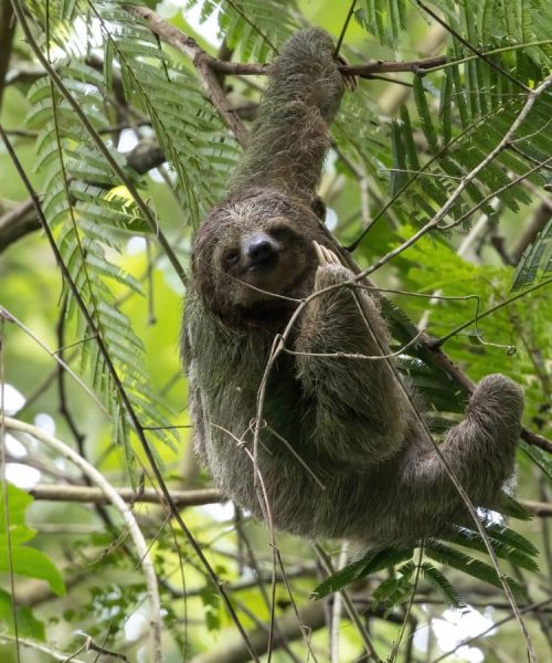 4COSTA RICA SURF TRIPS