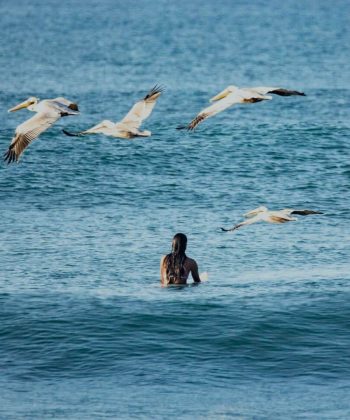 SURF TRIPS COSTA RICA